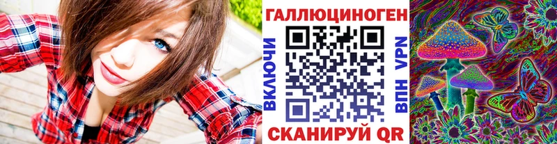 сколько стоит  Сорск  Галлюциногенные грибы Psilocybine cubensis 